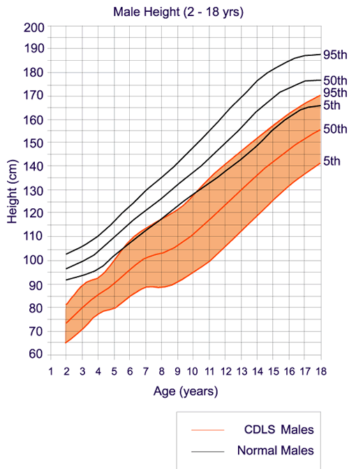 Cdls Growth Chart